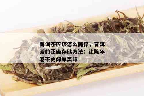 普洱茶应该怎么储存，普洱茶的正确存储方法：让陈年老茶更醇厚美味