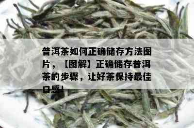 普洱茶如何正确储存方法图片，【图解】正确储存普洱茶的步骤，让好茶保持更佳口感！