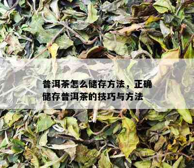 普洱茶怎么储存方法，正确储存普洱茶的技巧与方法