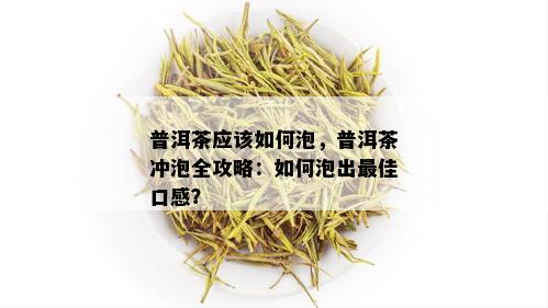 普洱茶应该如何泡，普洱茶冲泡全攻略：如何泡出更佳口感？