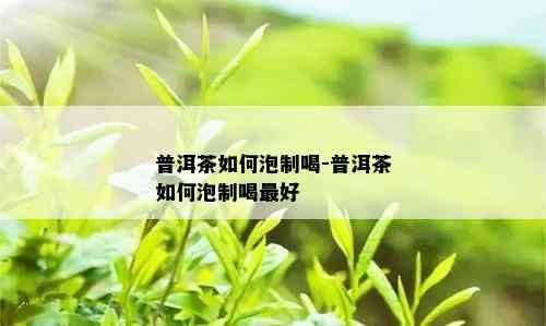 普洱茶如何泡制喝-普洱茶如何泡制喝更好