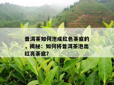 普洱茶如何泡成红色茶底的，揭秘：如何将普洱茶泡出红亮茶底？