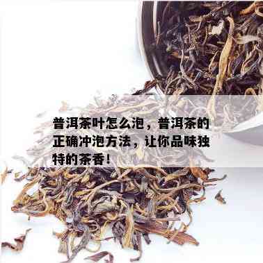 普洱茶叶怎么泡，普洱茶的正确冲泡方法，让你品味独特的茶香！