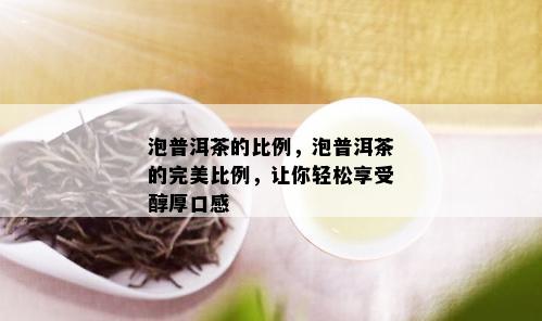 泡普洱茶的比例，泡普洱茶的完美比例，让你轻松享受醇厚口感