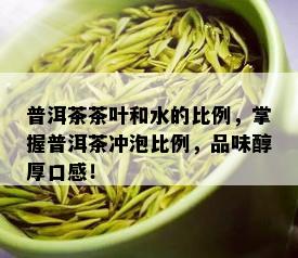 普洱茶茶叶和水的比例，掌握普洱茶冲泡比例，品味醇厚口感！