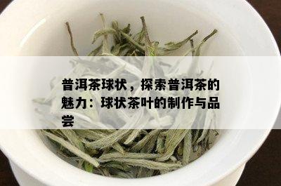 普洱茶球状，探索普洱茶的魅力：球状茶叶的制作与品尝