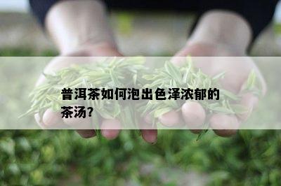 普洱茶如何泡出色泽浓郁的茶汤？