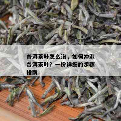 普洱茶叶怎么泡，如何冲泡普洱茶叶？一份详细的步骤指南