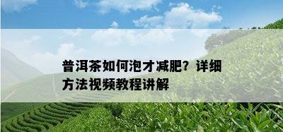 普洱茶如何泡才减肥？详细方法视频教程讲解