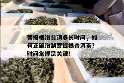 菩提根泡普洱多长时间，如何正确泡制菩提根普洱茶？时间掌握是关键！