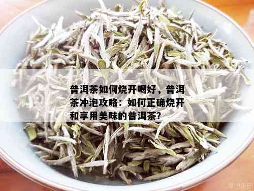 普洱茶如何烧开喝好，普洱茶冲泡攻略：如何正确烧开和享用美味的普洱茶？