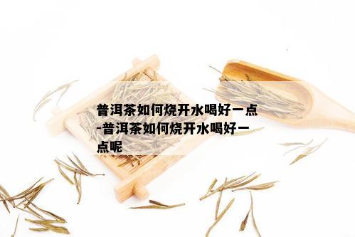 普洱茶如何烧开水喝好一点-普洱茶如何烧开水喝好一点呢