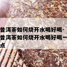 普洱茶如何烧开水喝好喝-普洱茶如何烧开水喝好喝一点