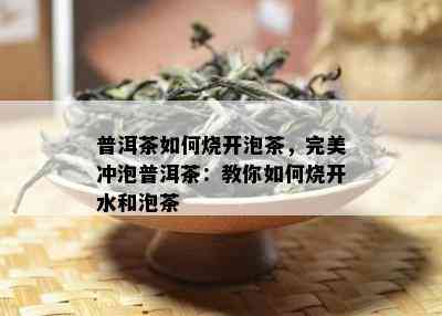 普洱茶如何烧开泡茶，完美冲泡普洱茶：教你如何烧开水和泡茶