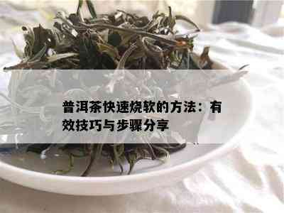 普洱茶快速烧软的方法：有效技巧与步骤分享