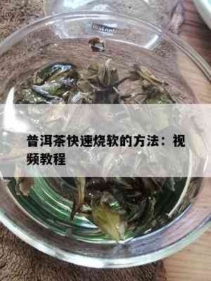 普洱茶快速烧软的方法：视频教程