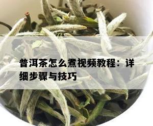 普洱茶怎么煮视频教程：详细步骤与技巧