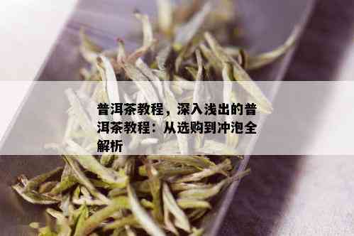 普洱茶教程，深入浅出的普洱茶教程：从选购到冲泡全解析