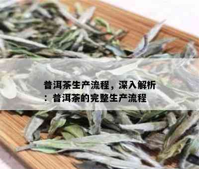 普洱茶生产流程，深入解析：普洱茶的完整生产流程