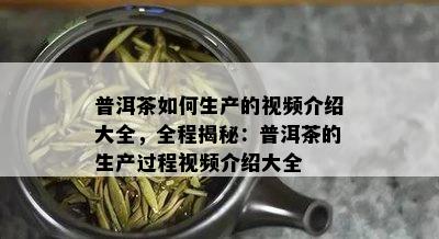 普洱茶如何生产的视频介绍大全，全程揭秘：普洱茶的生产过程视频介绍大全