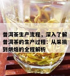 普洱茶生产流程，深入了解普洱茶的生产过程：从采摘到烘焙的全程解析