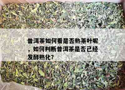 普洱茶如何看是否熟茶叶呢，如何判断普洱茶是否已经发酵熟化？