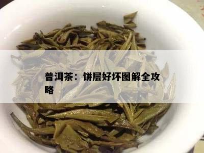 普洱茶：饼层好坏图解全攻略