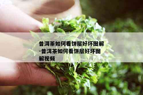 普洱茶如何看饼层好坏图解-普洱茶如何看饼层好坏图解视频