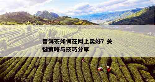 普洱茶如何在网上卖好？关键策略与技巧分享