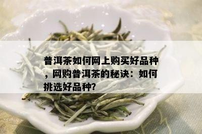 普洱茶如何网上购买好品种，网购普洱茶的秘诀：如何挑选好品种？