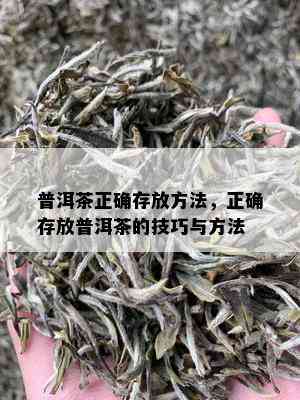 普洱茶正确存放方法，正确存放普洱茶的技巧与方法