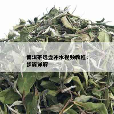 普洱茶选壶冲水视频教程：步骤详解