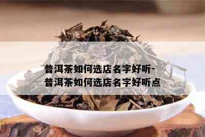 普洱茶如何选店名字好听-普洱茶如何选店名字好听点