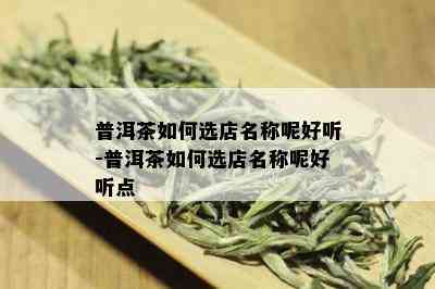 普洱茶如何选店名称呢好听-普洱茶如何选店名称呢好听点