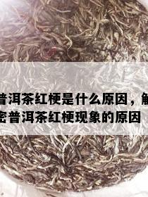 普洱茶红梗是什么原因，解密普洱茶红梗现象的原因