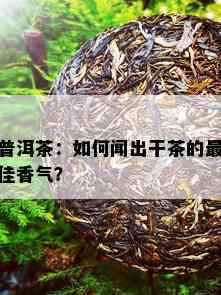 普洱茶：如何闻出干茶的更佳香气？