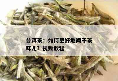 普洱茶：如何更好地闻干茶味儿？视频教程