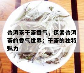 普洱茶干茶香气，探索普洱茶的香气世界：干茶的独特魅力