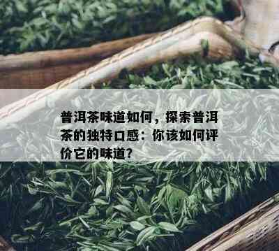 普洱茶味道如何，探索普洱茶的独特口感：你该如何评价它的味道？