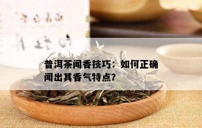 普洱茶闻香技巧：如何正确闻出其香气特点？