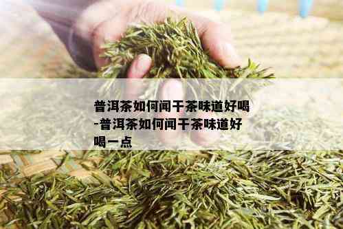 普洱茶如何闻干茶味道好喝-普洱茶如何闻干茶味道好喝一点