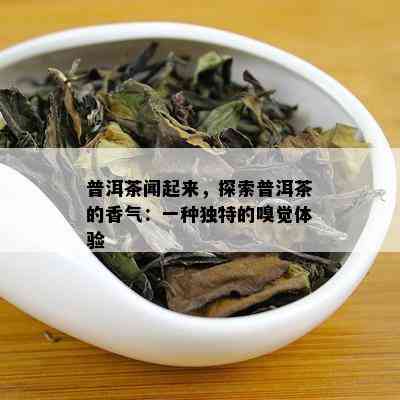 普洱茶闻起来，探索普洱茶的香气：一种独特的嗅觉体验