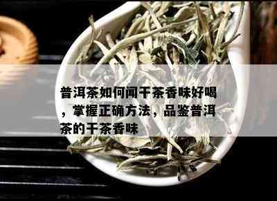 普洱茶如何闻干茶香味好喝，掌握正确方法，品鉴普洱茶的干茶香味