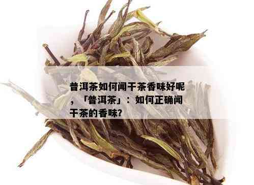 普洱茶如何闻干茶香味好呢，「普洱茶」：如何正确闻干茶的香味？