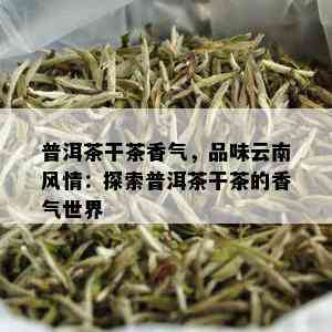 普洱茶干茶香气，品味云南风情：探索普洱茶干茶的香气世界