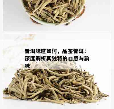 普洱味道如何，品鉴普洱：深度解析其独特的口感与韵味