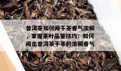 普洱茶如何闻干茶香气浓稠，掌握茶叶品鉴技巧：如何闻出普洱茶干茶的浓稠香气？