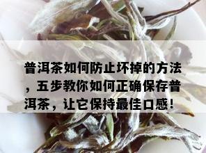 普洱茶如何防止坏掉的方法，五步教你如何正确保存普洱茶，让它保持更佳口感！