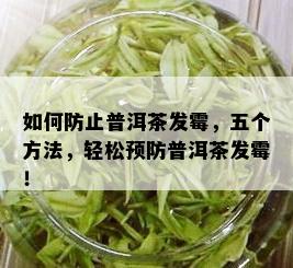 如何防止普洱茶发霉，五个方法，轻松预防普洱茶发霉！