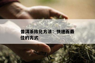 普洱茶陈化方法：快速而更佳的方式